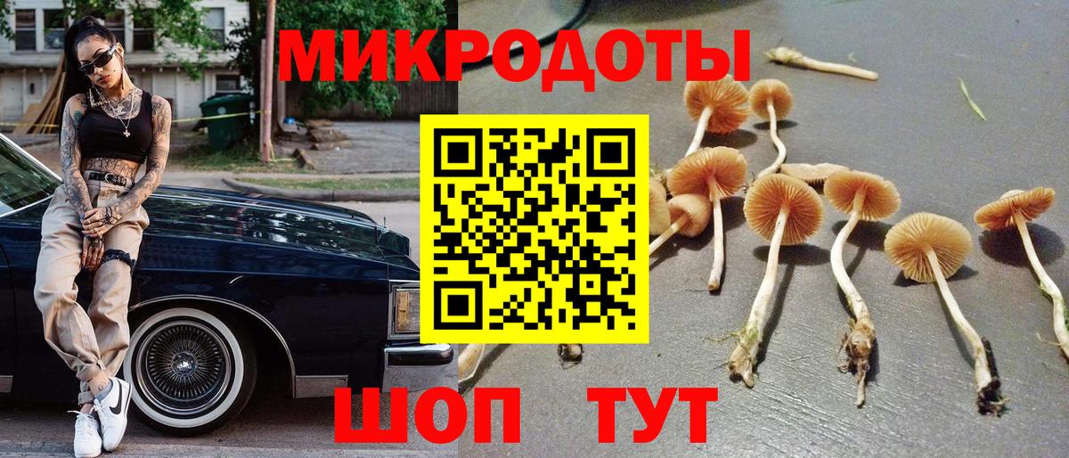 наркотики  Галлюциногенные грибы GOLDEN TEACHER  Вход с VPN  Богданович 