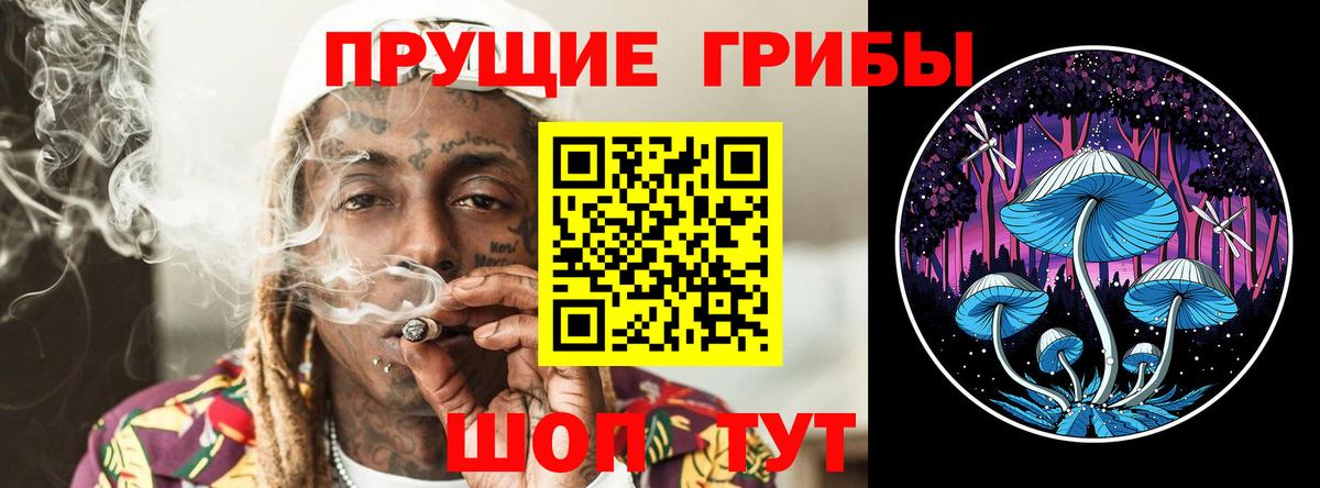 Галлюциногенные грибы Psilocybine cubensis Богданович