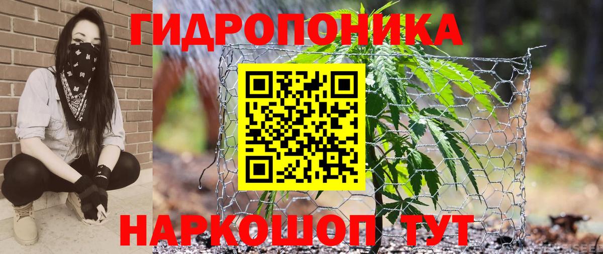 Богданович  Каннабис гибрид  Шишки марихуана SATIVA & INDICA  Вход с VPN 